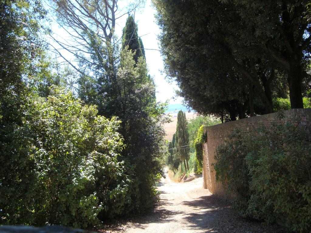 Villa Pieve De' Pitti Terricciola Exteriér fotografie